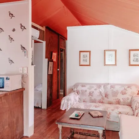 Luxury tent Glamping Jabalina Country Tents Puerto Real